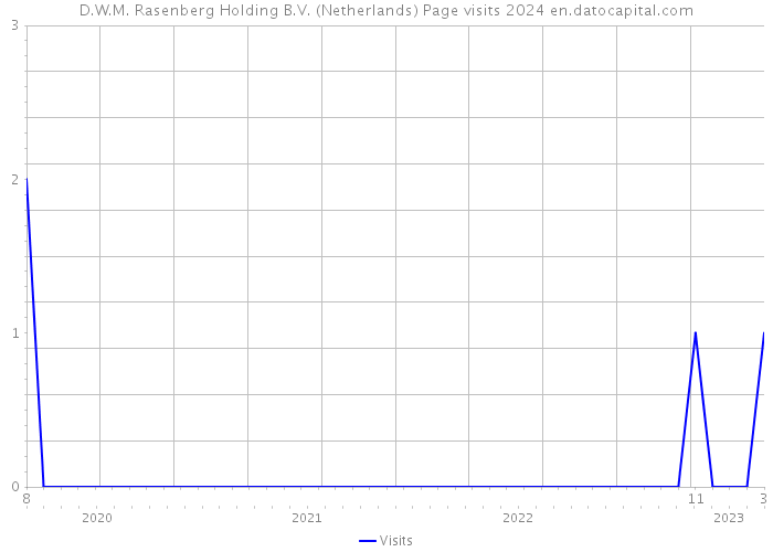 D.W.M. Rasenberg Holding B.V. (Netherlands) Page visits 2024 