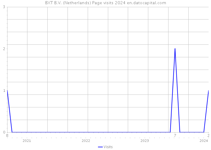 BXT B.V. (Netherlands) Page visits 2024 