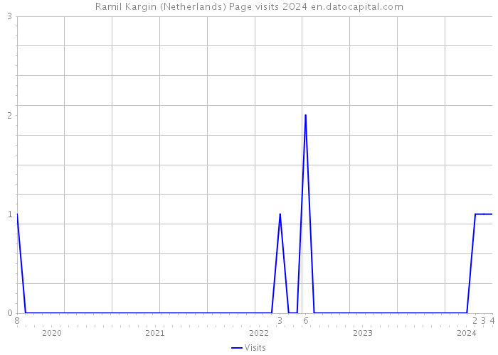 Ramil Kargin (Netherlands) Page visits 2024 