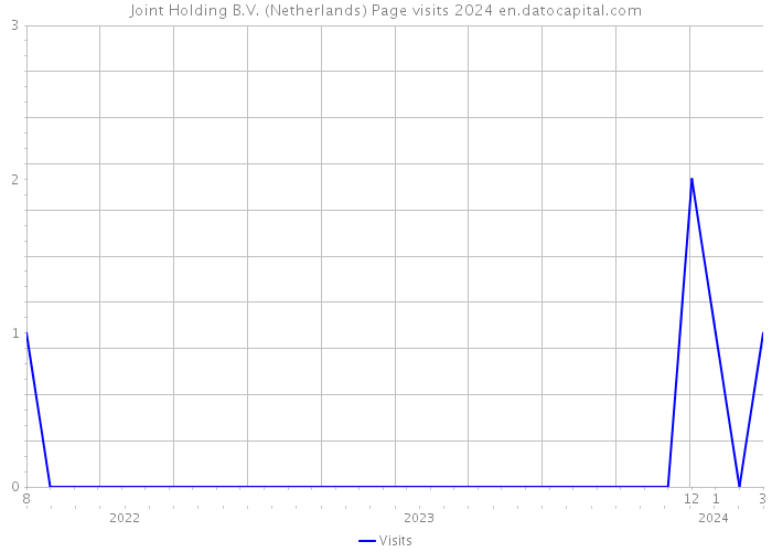 Joint Holding B.V. (Netherlands) Page visits 2024 