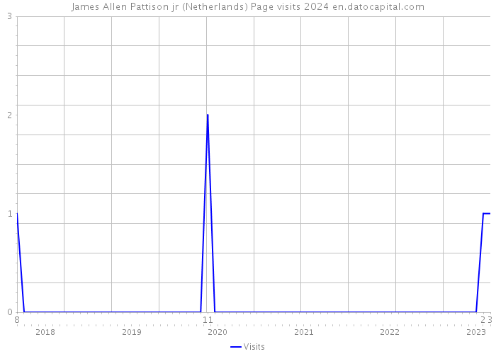 James Allen Pattison jr (Netherlands) Page visits 2024 