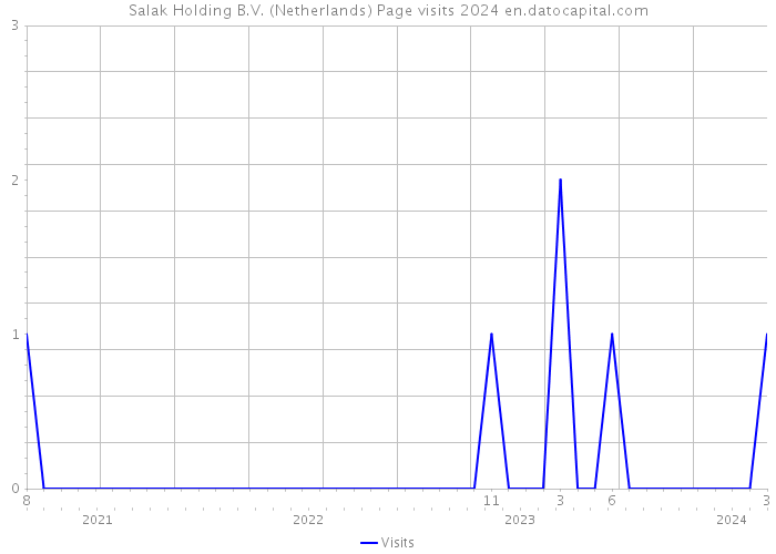 Salak Holding B.V. (Netherlands) Page visits 2024 