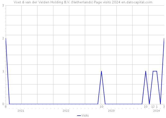 Voet & van der Velden Holding B.V. (Netherlands) Page visits 2024 
