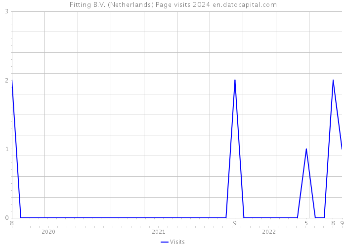 Fitting B.V. (Netherlands) Page visits 2024 