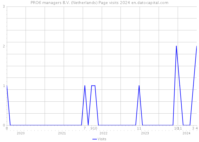 PRO6 managers B.V. (Netherlands) Page visits 2024 