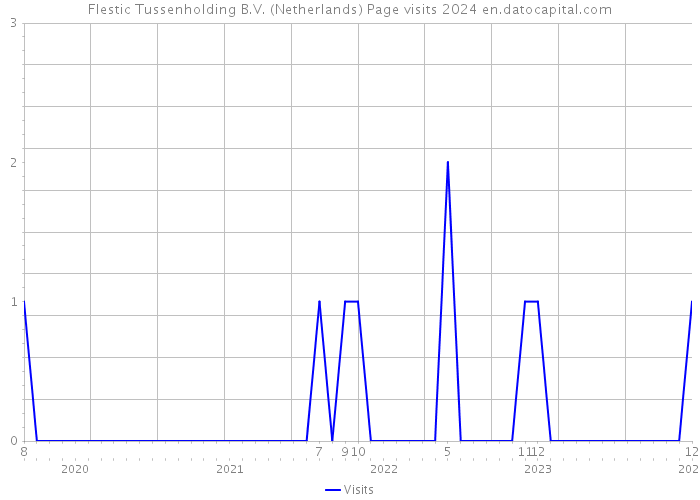 Flestic Tussenholding B.V. (Netherlands) Page visits 2024 