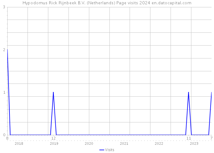 Hypodomus Rick Rijnbeek B.V. (Netherlands) Page visits 2024 