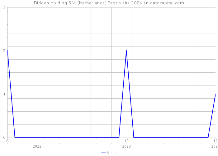 Didden Holding B.V. (Netherlands) Page visits 2024 