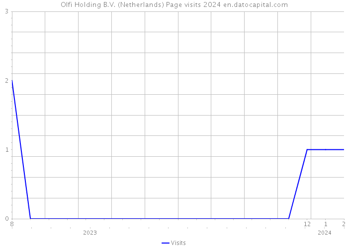 Olfi Holding B.V. (Netherlands) Page visits 2024 