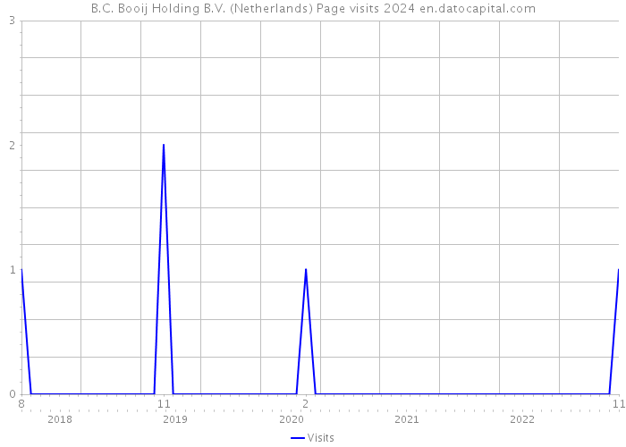 B.C. Booij Holding B.V. (Netherlands) Page visits 2024 