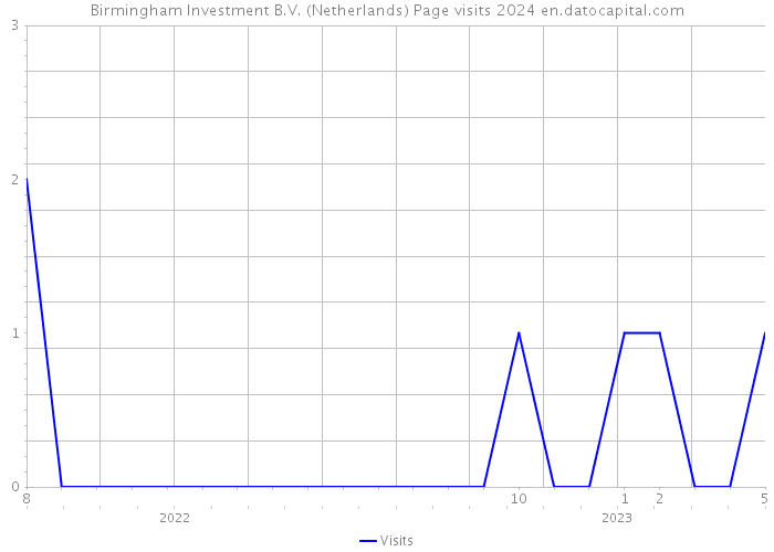 Birmingham Investment B.V. (Netherlands) Page visits 2024 