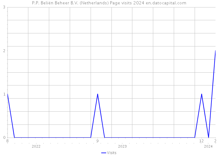 P.P. Beliën Beheer B.V. (Netherlands) Page visits 2024 