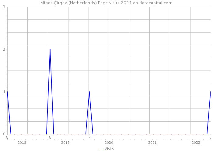 Minas Çitgez (Netherlands) Page visits 2024 