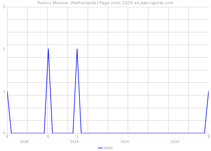 Remco Meisner (Netherlands) Page visits 2024 