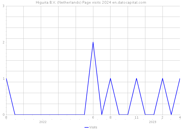 Higuita B.V. (Netherlands) Page visits 2024 