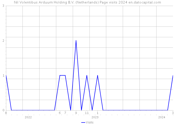 Nil Volentibus Arduum Holding B.V. (Netherlands) Page visits 2024 