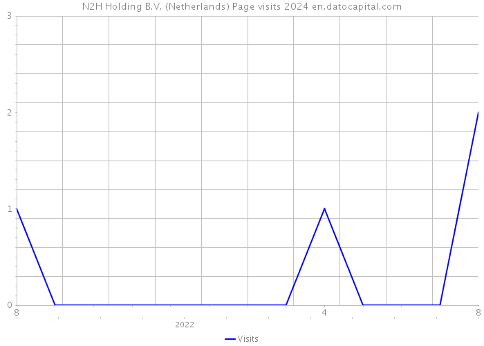 N2H Holding B.V. (Netherlands) Page visits 2024 
