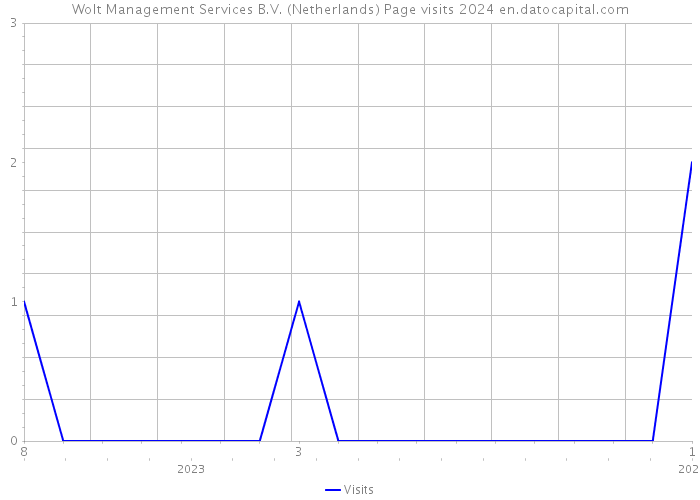 Wolt Management Services B.V. (Netherlands) Page visits 2024 