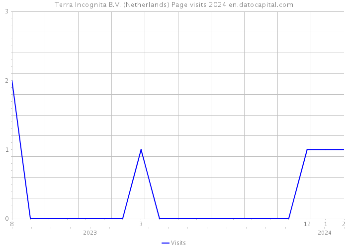 Terra Incognita B.V. (Netherlands) Page visits 2024 