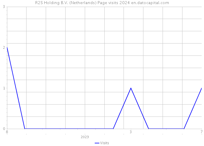 R2S Holding B.V. (Netherlands) Page visits 2024 