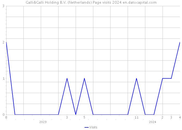Galli&Galli Holding B.V. (Netherlands) Page visits 2024 