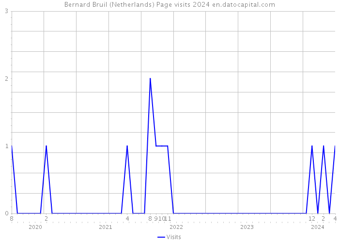 Bernard Bruil (Netherlands) Page visits 2024 