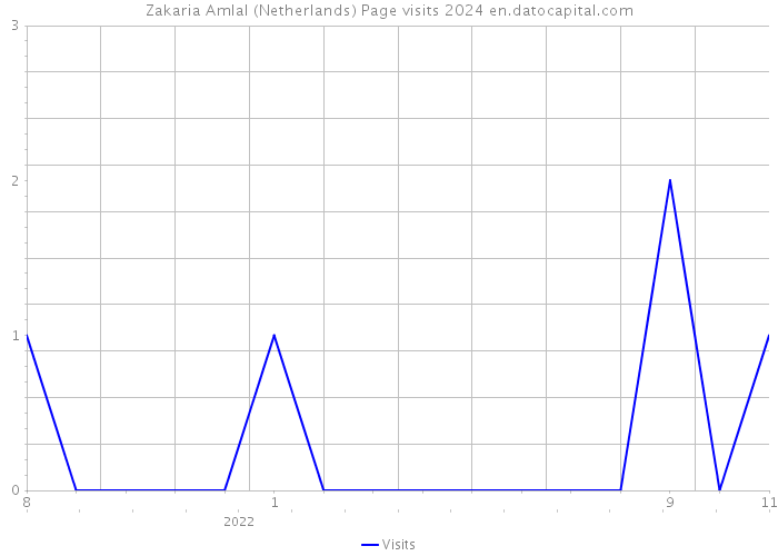 Zakaria Amlal (Netherlands) Page visits 2024 