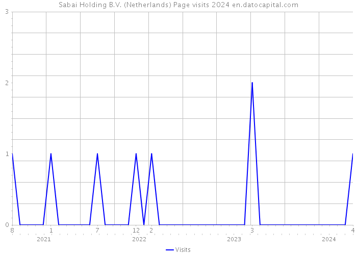 Sabai Holding B.V. (Netherlands) Page visits 2024 