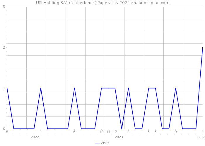 USI Holding B.V. (Netherlands) Page visits 2024 