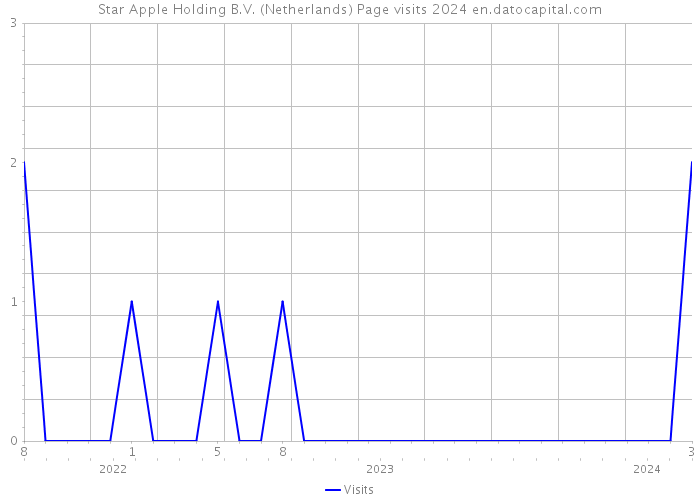 Star Apple Holding B.V. (Netherlands) Page visits 2024 