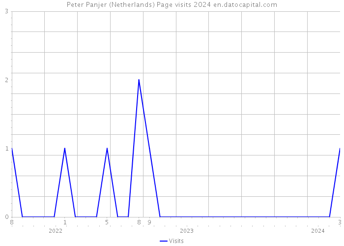 Peter Panjer (Netherlands) Page visits 2024 