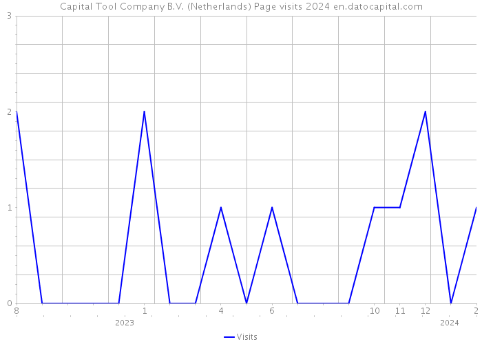 Capital Tool Company B.V. (Netherlands) Page visits 2024 