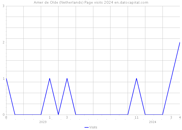 Amer de Olde (Netherlands) Page visits 2024 
