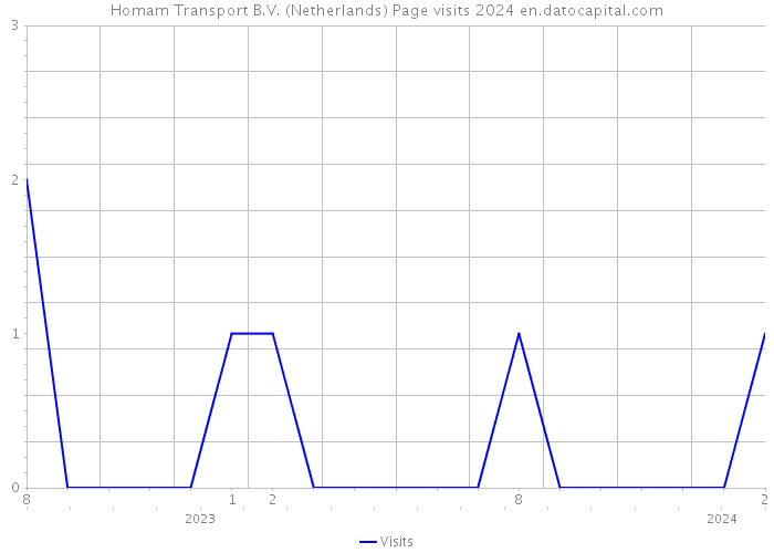Homam Transport B.V. (Netherlands) Page visits 2024 