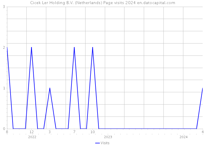 Cicek Ler Holding B.V. (Netherlands) Page visits 2024 