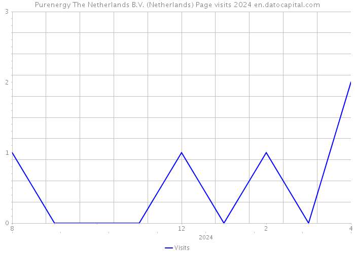 Purenergy The Netherlands B.V. (Netherlands) Page visits 2024 