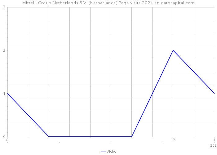 Mitrelli Group Netherlands B.V. (Netherlands) Page visits 2024 