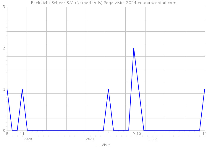 Beekzicht Beheer B.V. (Netherlands) Page visits 2024 