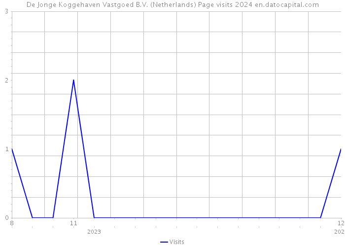 De Jonge Koggehaven Vastgoed B.V. (Netherlands) Page visits 2024 