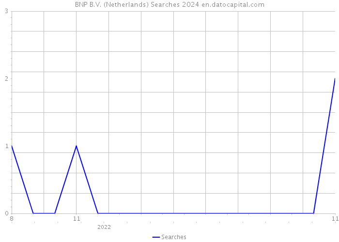 BNP B.V. (Netherlands) Searches 2024 