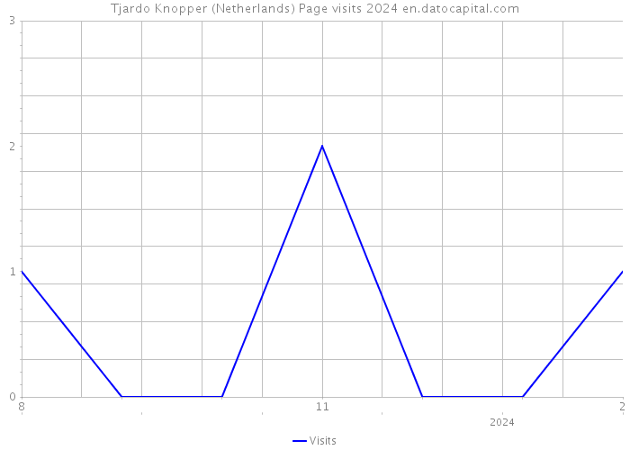 Tjardo Knopper (Netherlands) Page visits 2024 