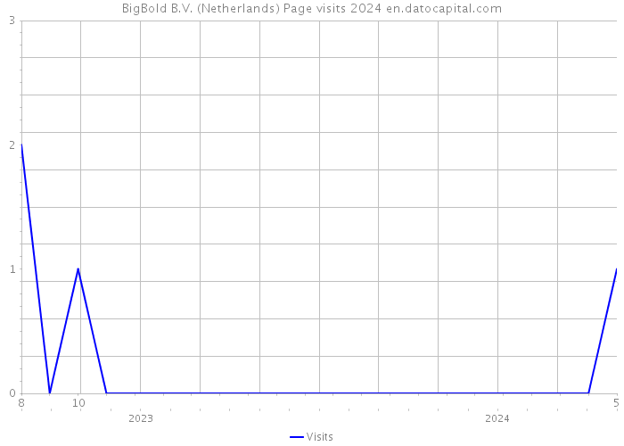 BigBold B.V. (Netherlands) Page visits 2024 