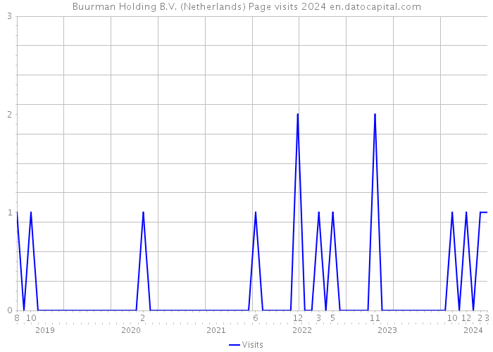 Buurman Holding B.V. (Netherlands) Page visits 2024 