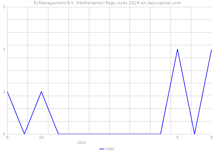 RJ Management B.V. (Netherlands) Page visits 2024 
