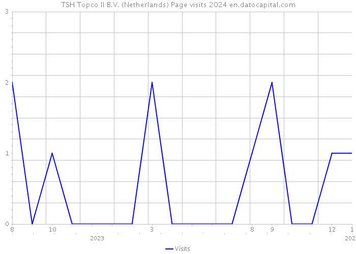 TSH Topco II B.V. (Netherlands) Page visits 2024 