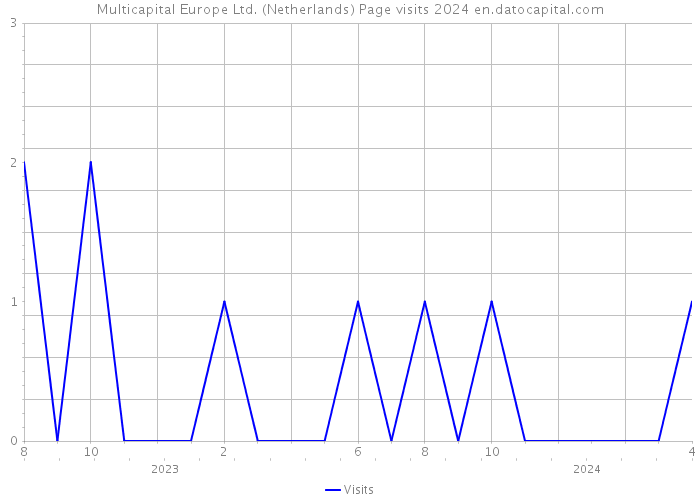 Multicapital Europe Ltd. (Netherlands) Page visits 2024 