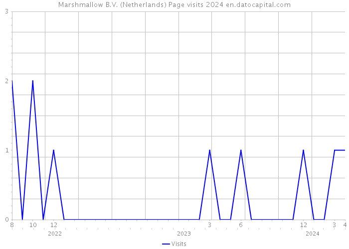 Marshmallow B.V. (Netherlands) Page visits 2024 