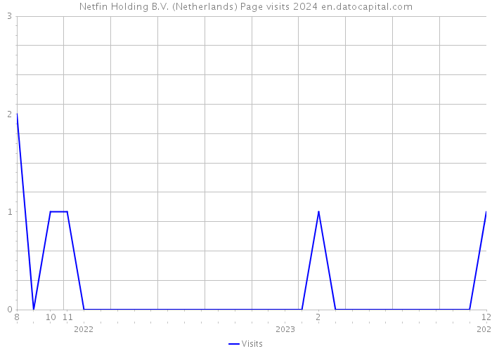 Netfin Holding B.V. (Netherlands) Page visits 2024 