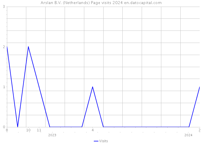 Arslan B.V. (Netherlands) Page visits 2024 