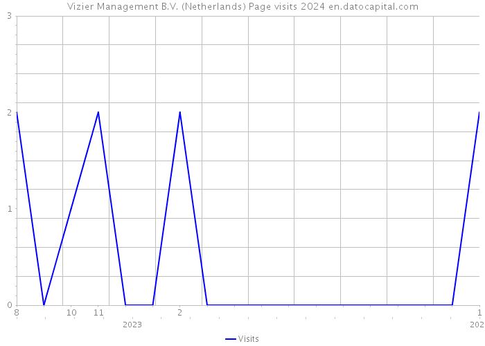 Vizier Management B.V. (Netherlands) Page visits 2024 
